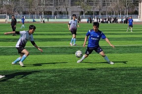 kaiyun app-欢乐足球盛宴，球员齐聚赛场争夺荣耀()