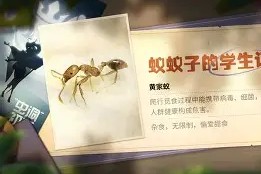 开云体育登录-凯泽斯劳滕夺冠阵容