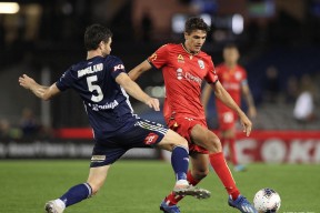 开云体育娱乐app-悉尼主场大胜东京，晋级希望重燃(日本传来噩耗损失惨重)