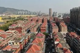 开云-广东泛龙再胜福建伊什樱，保持领先()