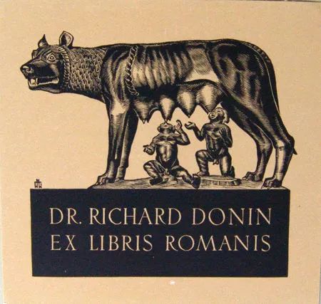 kaiyun sports-东亚豪强再掀战火：足球领域传奇故事续写(港片集齐五京打造顶级豪强笔趣阁)  第2张